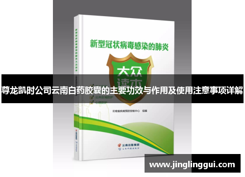 尊龙凯时公司云南白药胶囊的主要功效与作用及使用注意事项详解